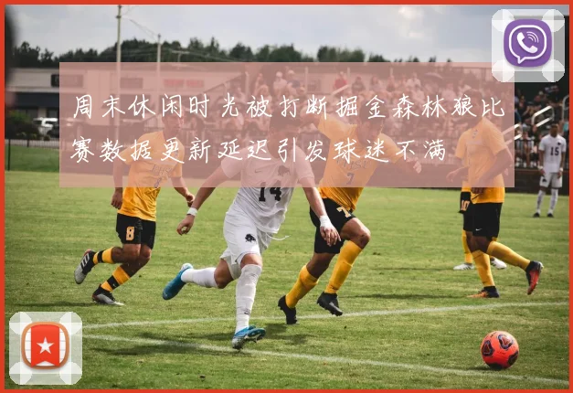 周末休闲时光被打断掘金森林狼比赛数据更新延迟引发球迷不满