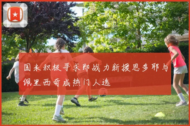 国米积极寻求即战力新援恩多耶与佩里西奇成热门人选