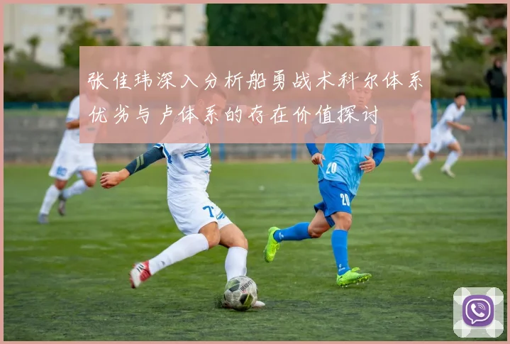张佳玮深入分析船勇战术科尔体系优劣与卢体系的存在价值探讨